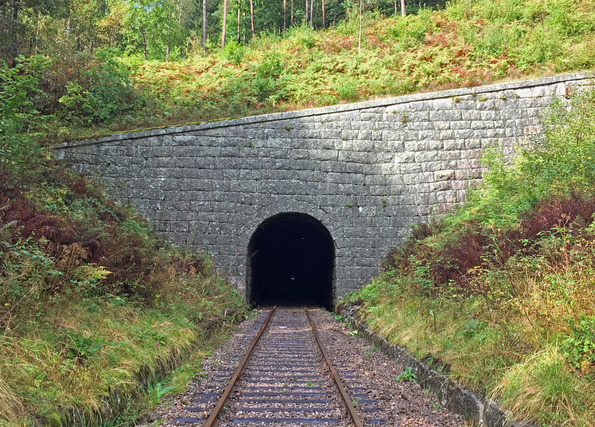 Der er en del tunneller på banen.  Læg mærke til toppen af udgangshullet i modsatte ende - banen flader ud nær enden af tunnellen