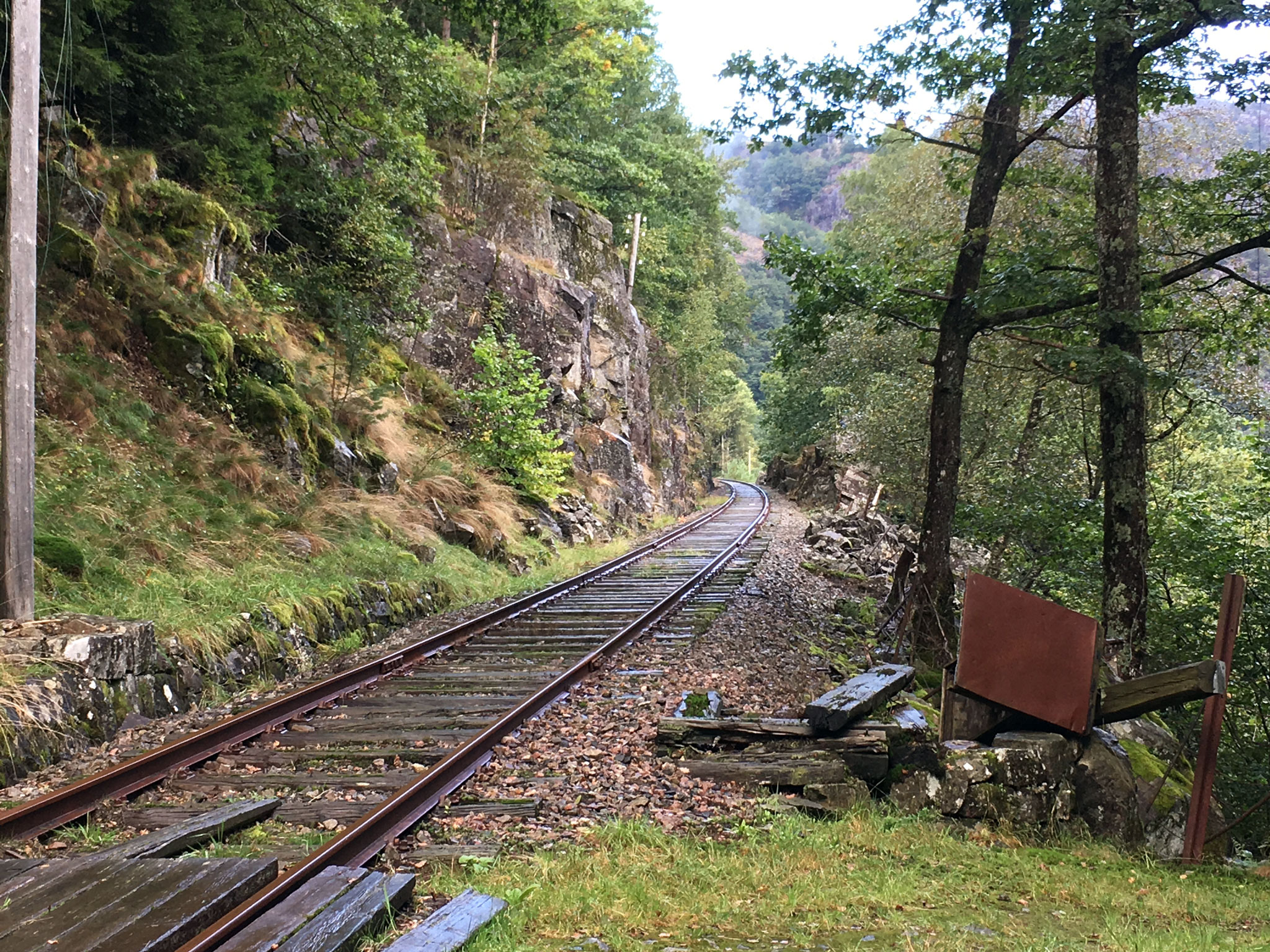 Jernbaneoverskæring ved trinbræt